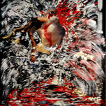 REINO ANIMAL... thumbnail 2