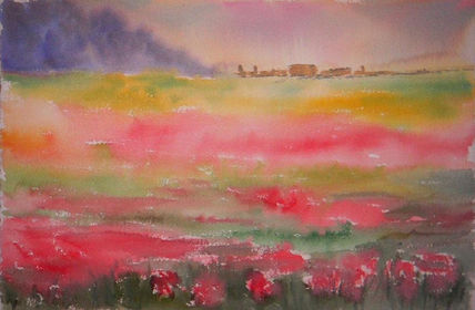 Campo de amapolas
