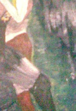 Dealle: Guerrera y Barda