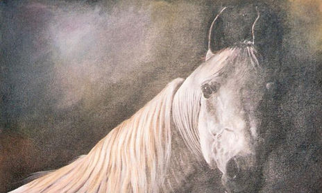 Animales