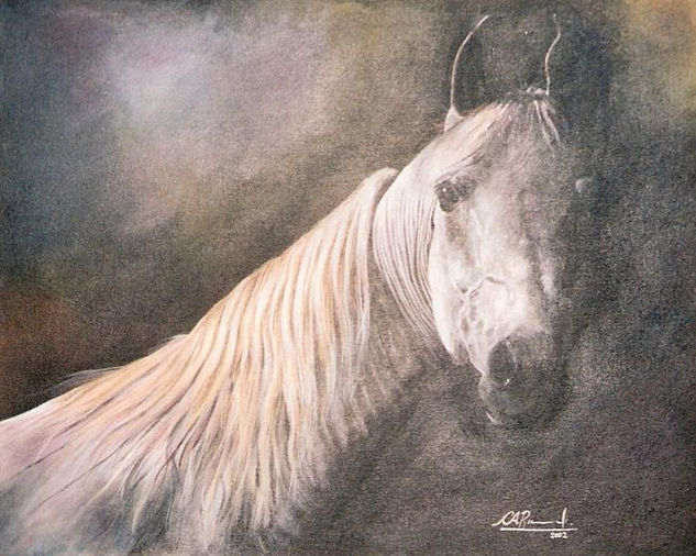 "Caballo Arabe" Acrylic Panel