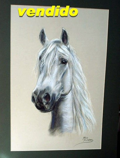 "Atento" Pastel Papel Animales