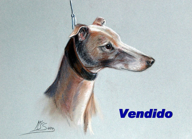 "Galgo" Pastel Papel Animales