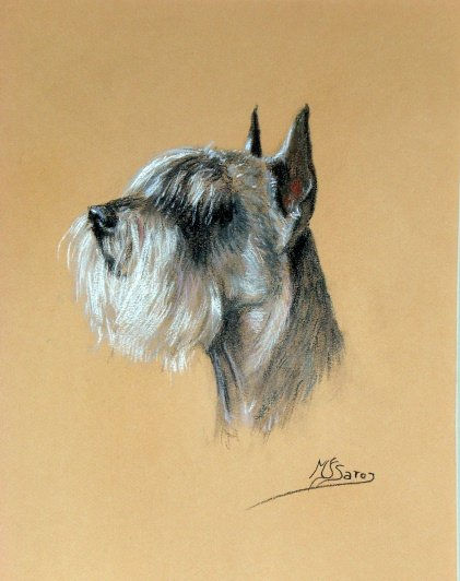 "Mi perra Lisa" Pastel Paper Animals