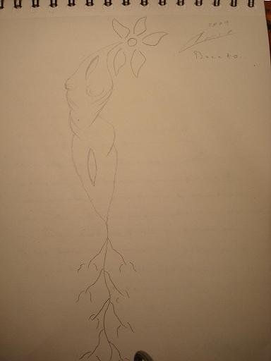 Raices