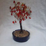 Canalu... thumbnail 2