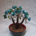 Canalu... thumbnail 1