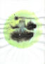 GEST-0131,1994