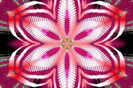 029