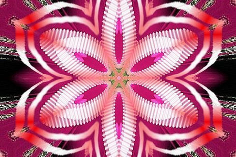 029