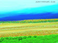 CAMPOS DE FLORES