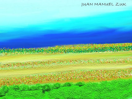 Campos de flores