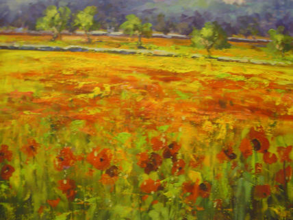 Campo de amapolas