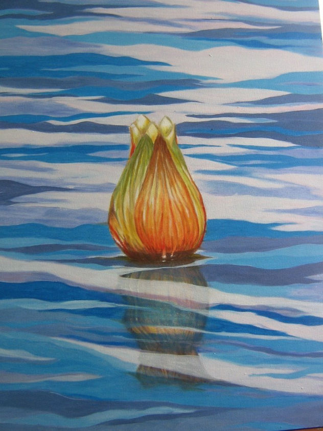 Nenúfar, flor de la Noche