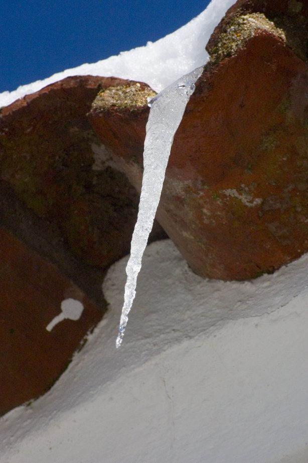 nieve