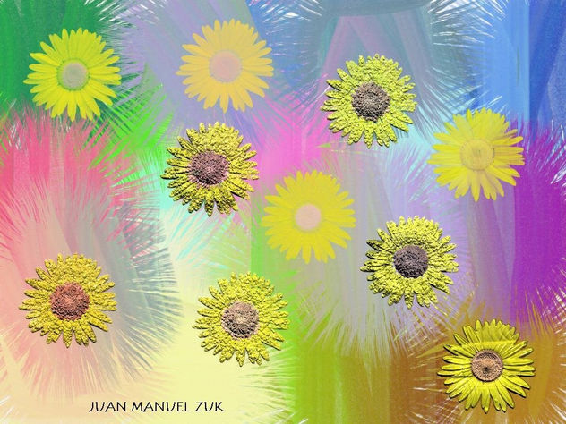 SALVAJES GIRASOLES