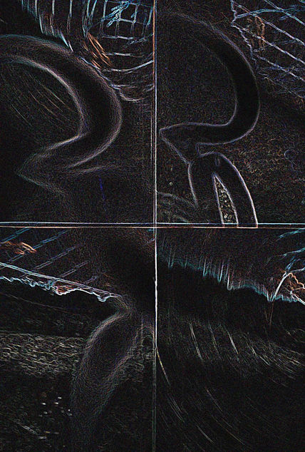 Erre 5