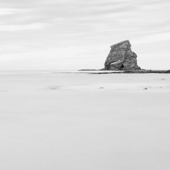 Descansando en el mar Naturaleza Blanco y Negro (Digital)