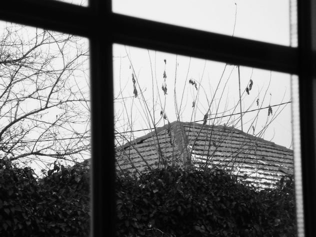 desde la ventana