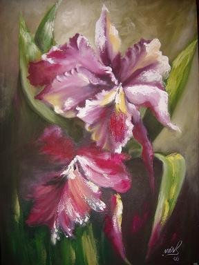 orquideas