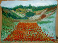 campo