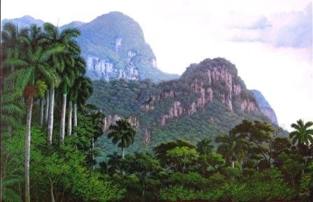 Cerros y Palmas Óleo Lienzo Paisaje