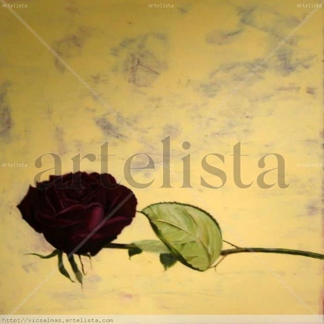 rosa de sant jordi