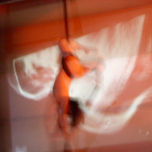 Fotografía thumbnail 2