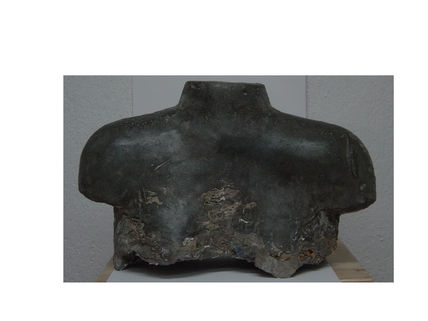 Torso