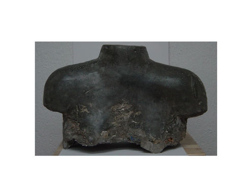 Torso