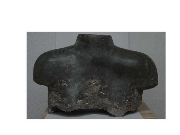 TORSO