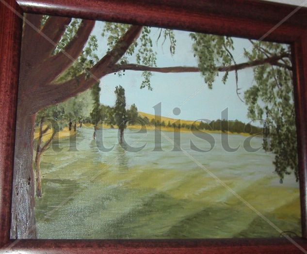 pantano de Arcos Oil Canvas Landscaping