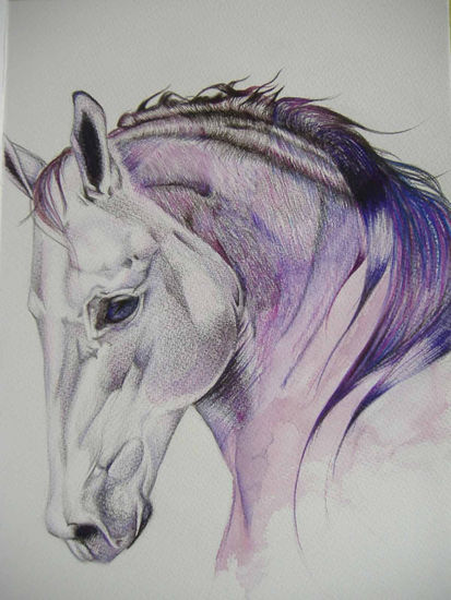 Caballo Mixed Media