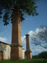 ARBOL EN LA CHIMENEA