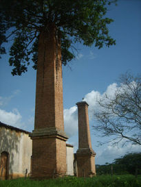 Arbol en la chimenea