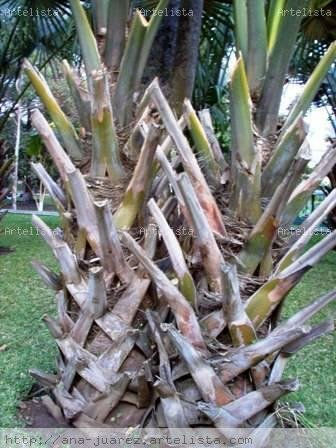 Naturaleza moldeada