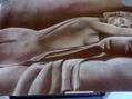 dormida