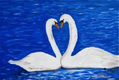 cisnes enamorados