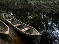 Cayucos en la Laguna de Cacao