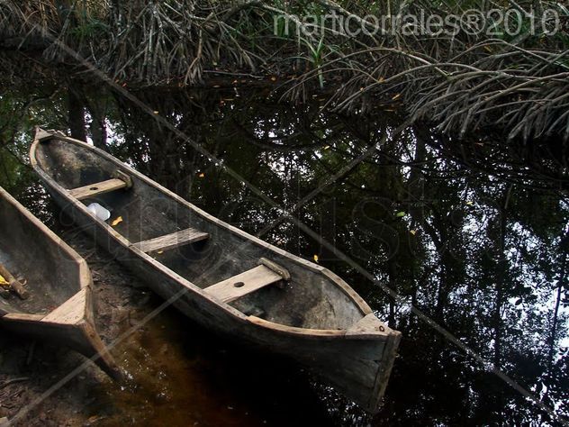 Cayucos en la Laguna de Cacao