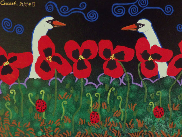 cisnes en la noche2