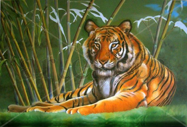 Tigre de Martha_ Oil Canvas Landscaping