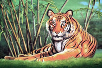 Tigre de M_pintado