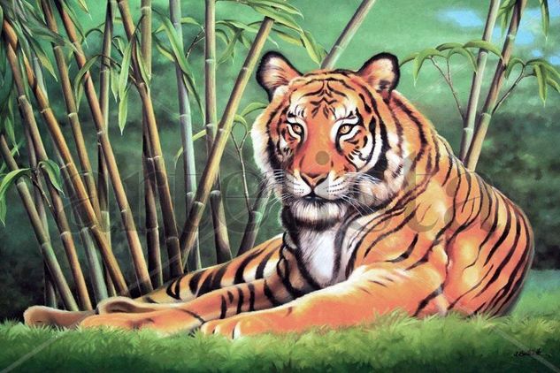 Tigre de M_pintado Oil Canvas Landscaping