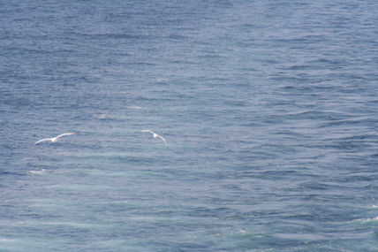 Persiguiendo al barco