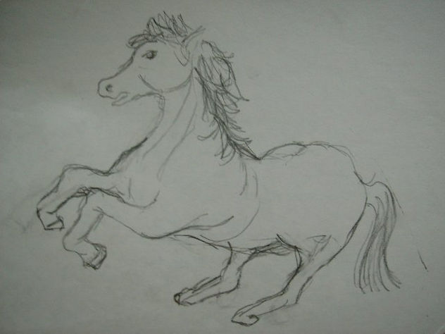 Caballo