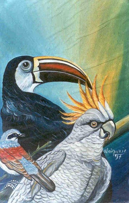 Cacatua
