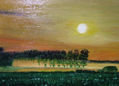 puesta de sol  en pradera