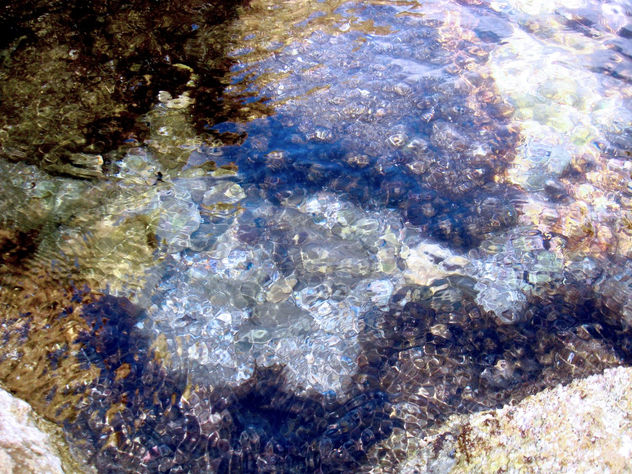 fondo marino