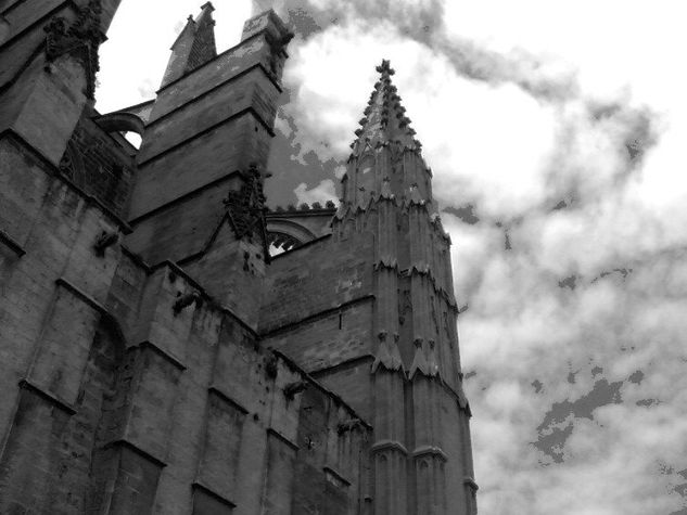 tour fotografico Viajes Blanco y Negro (Digital)